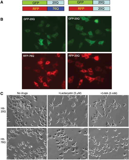 Figure 4.