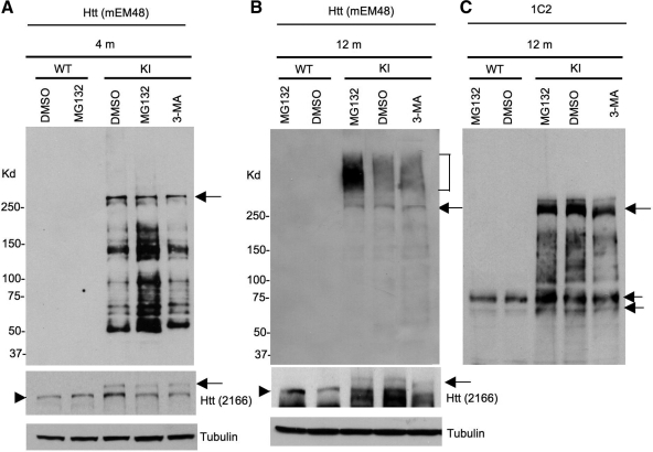 Figure 6.