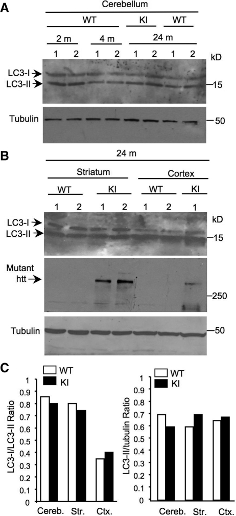 Figure 3.