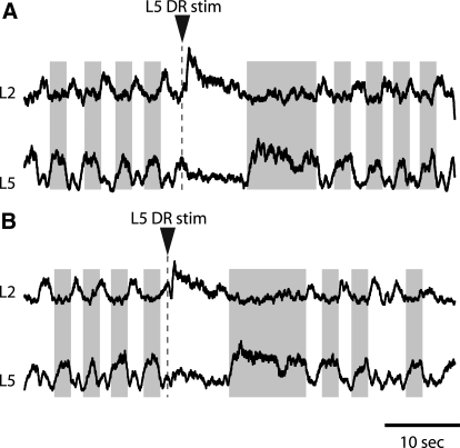 Fig. 9.