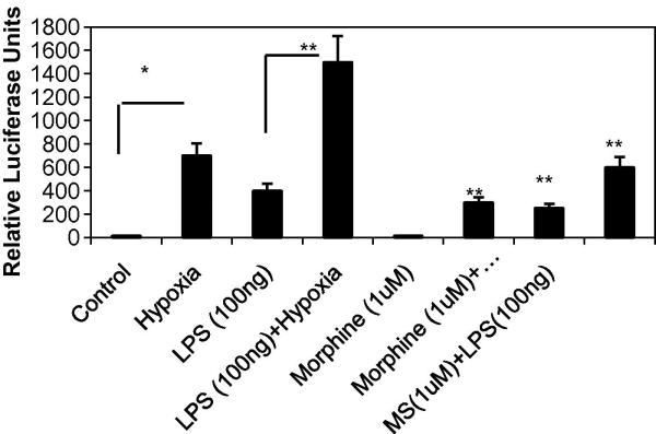 Figure 3C