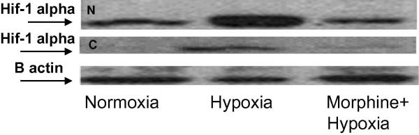 Figure 3A