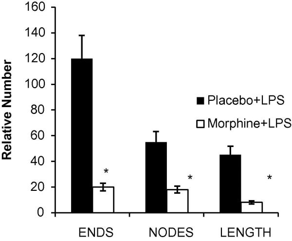 Figure 1C