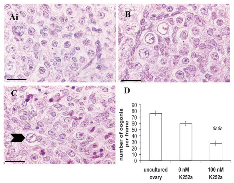 Fig. 11