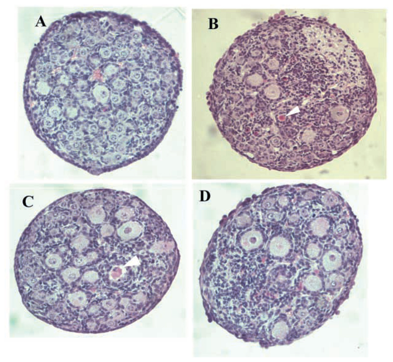 Fig. 9