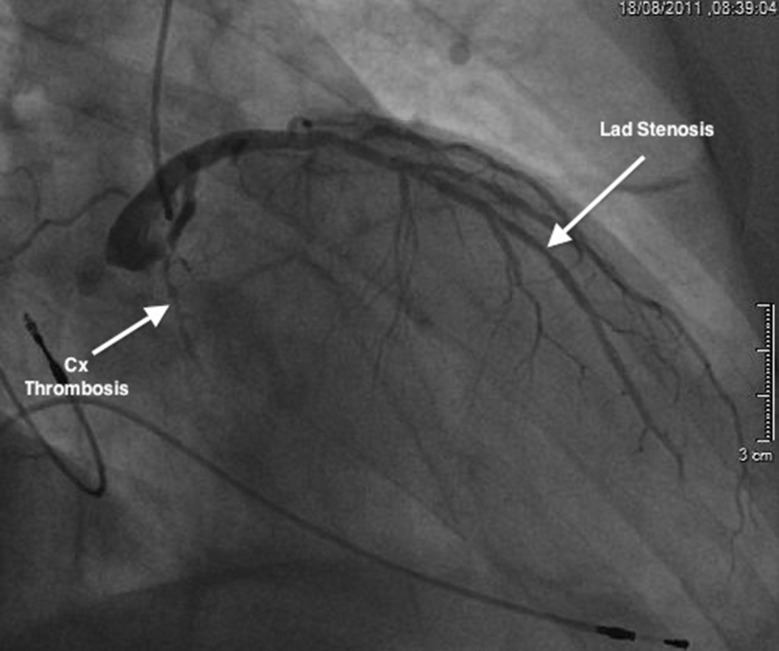 Figure 1.