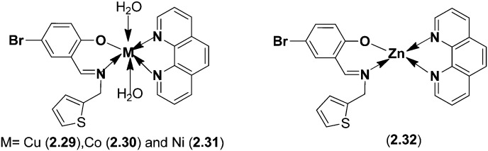 Fig. 19