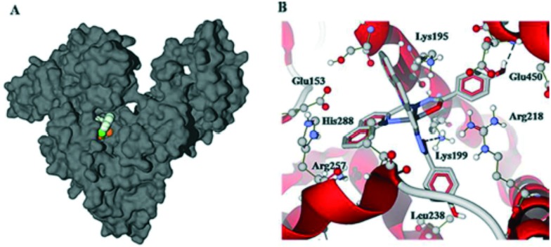 Fig. 46