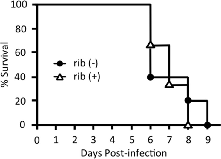 Supplementary Fig. S1