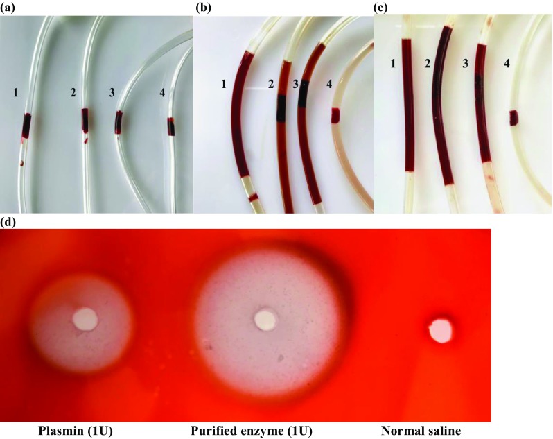 Fig. 6