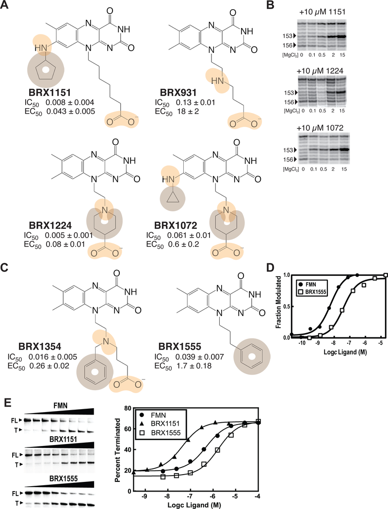 Figure 4 |