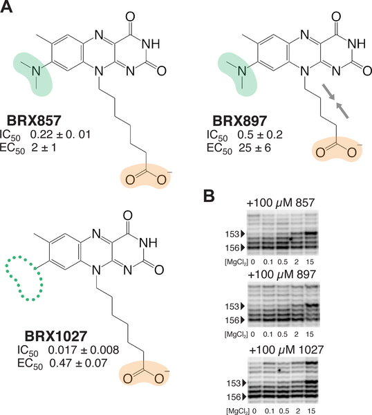 Figure 2 |