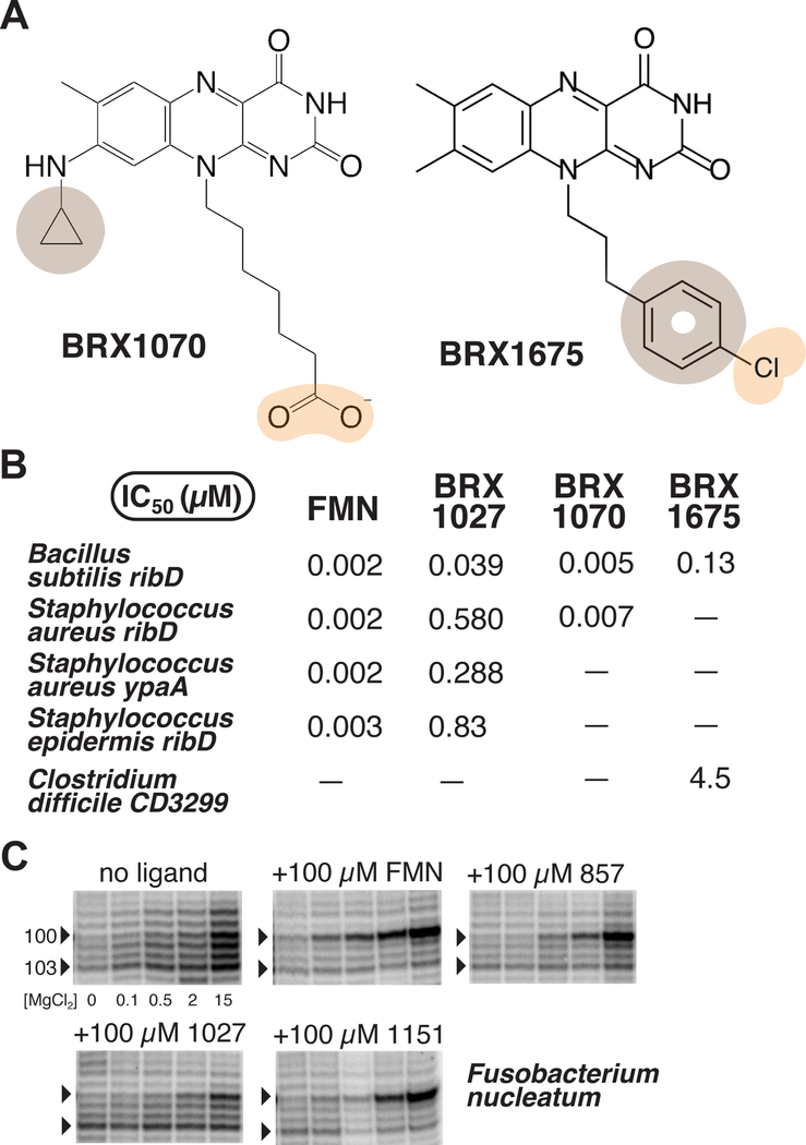 Figure 3 |