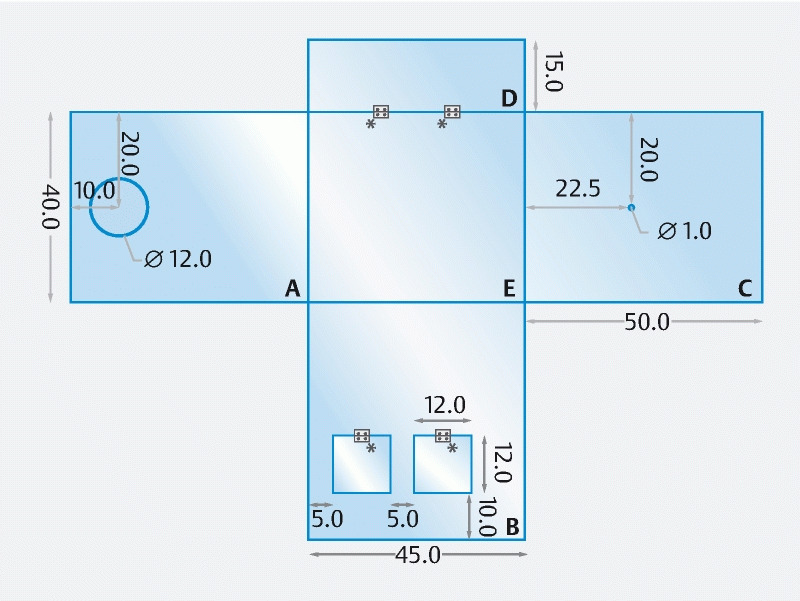 Fig. 1