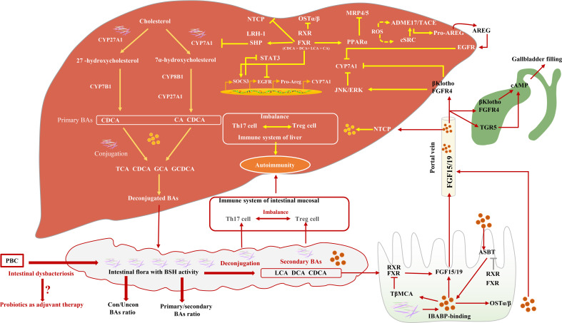 Figure 1