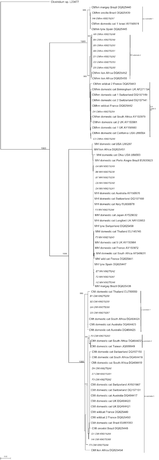 Fig. 2