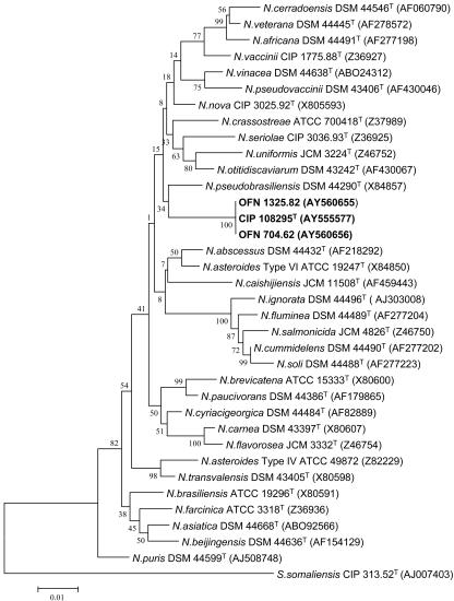 FIG. 1.