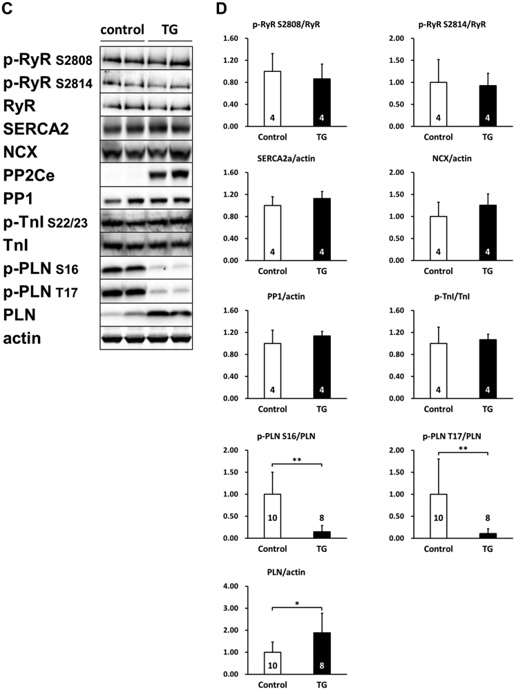 Figure 7