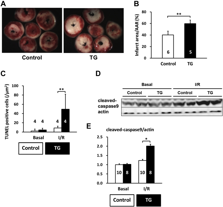 Figure 10