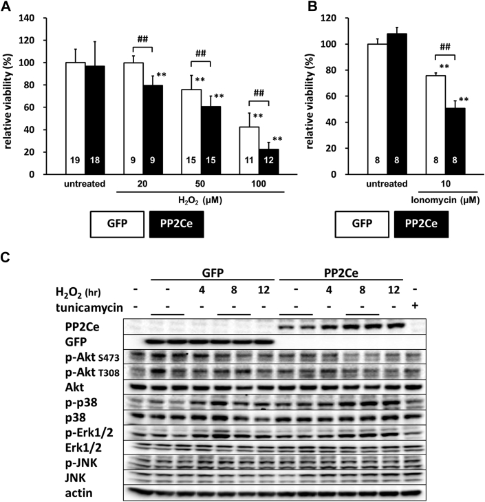 Figure 11