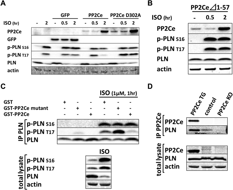 Figure 4