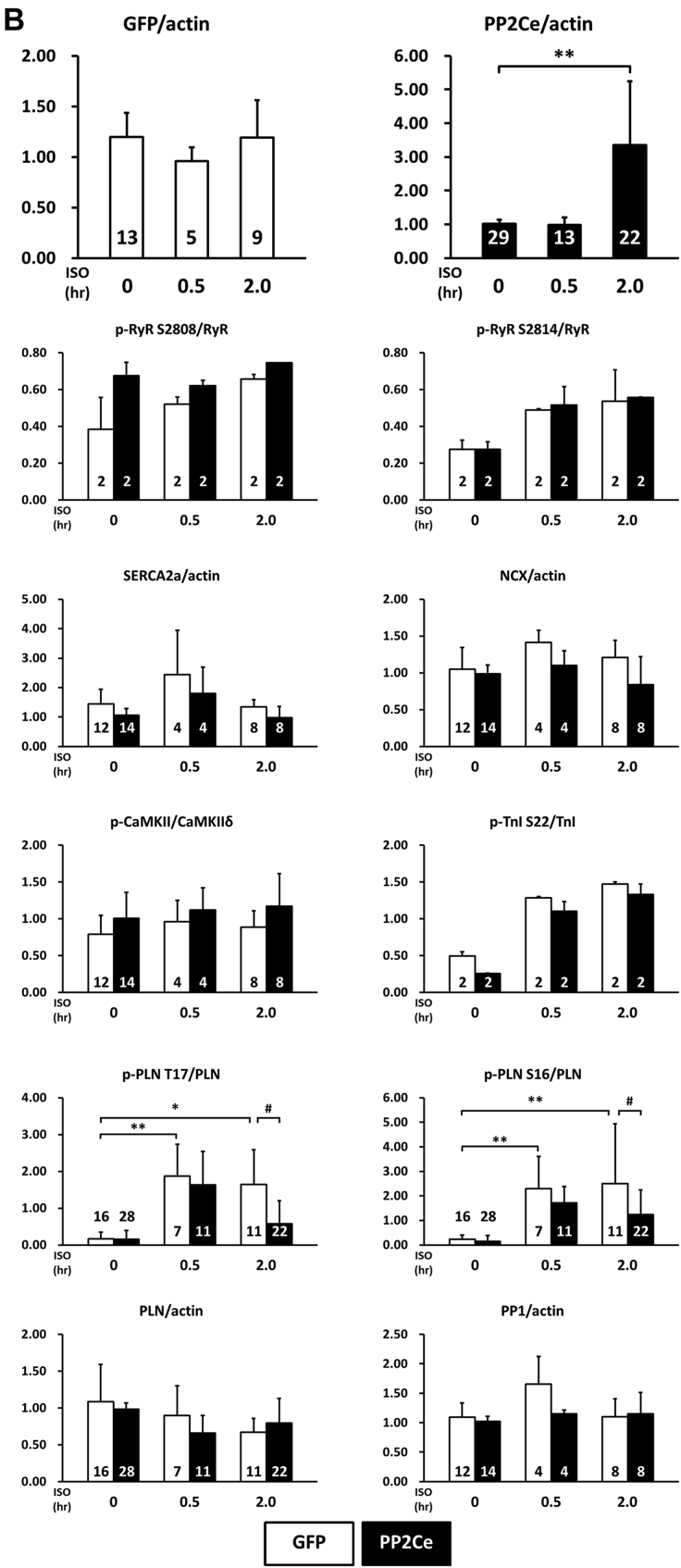 Figure 3