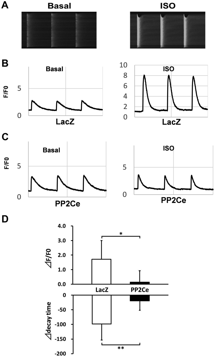 Figure 6