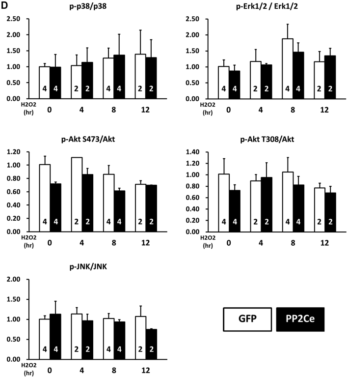 Figure 11