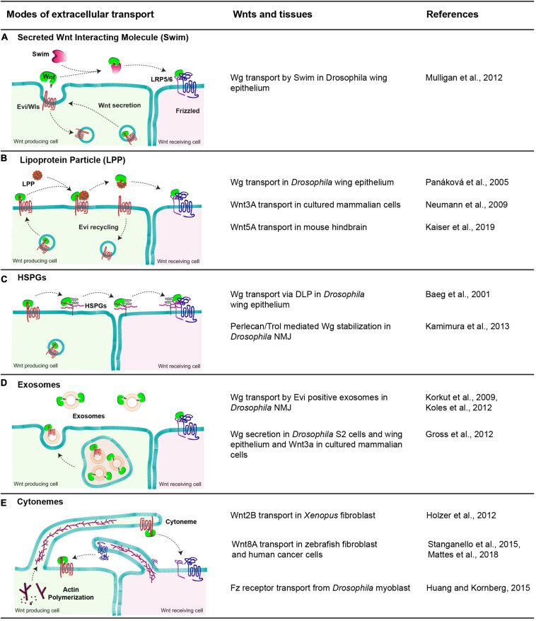 FIGURE 3