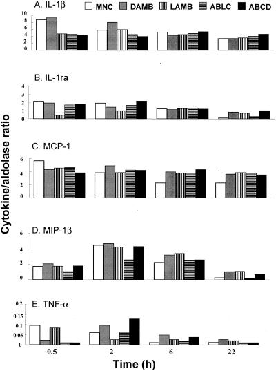 FIG. 1.