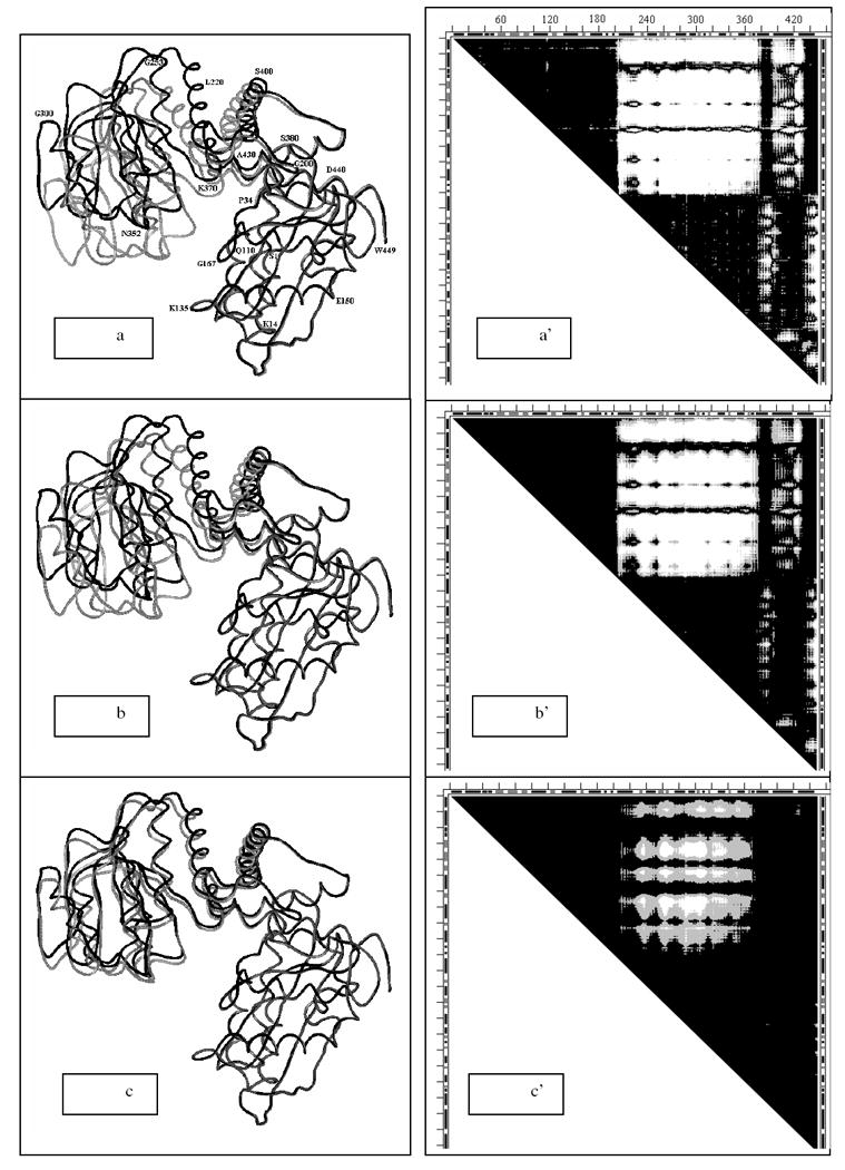 Fig. 12