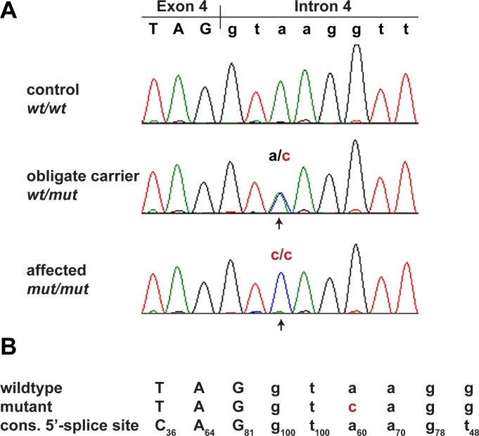 Fig 3