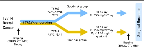 Fig 1.