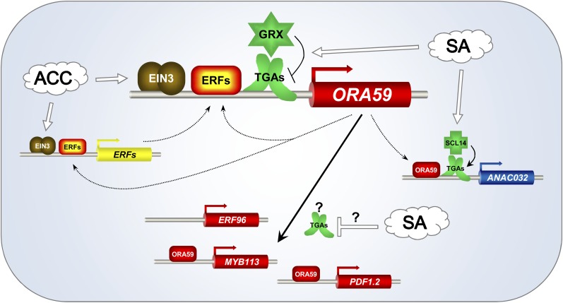 Figure 7.