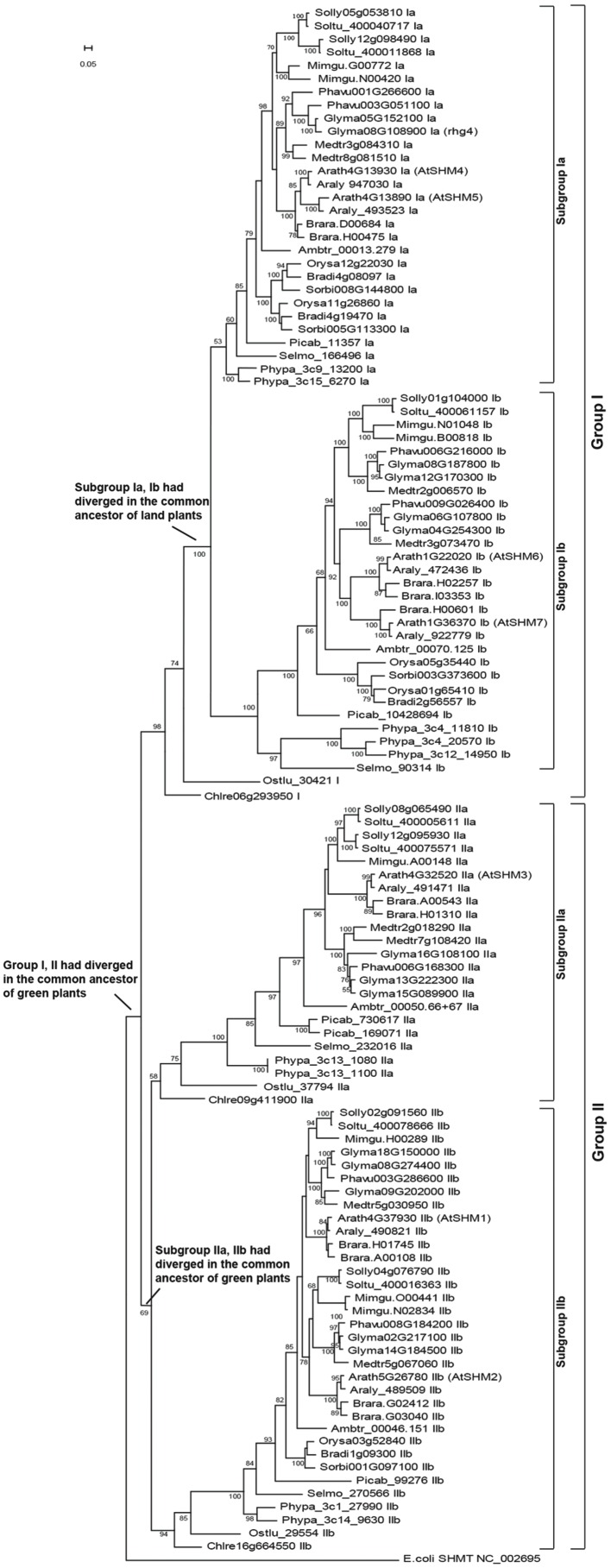 FIGURE 1