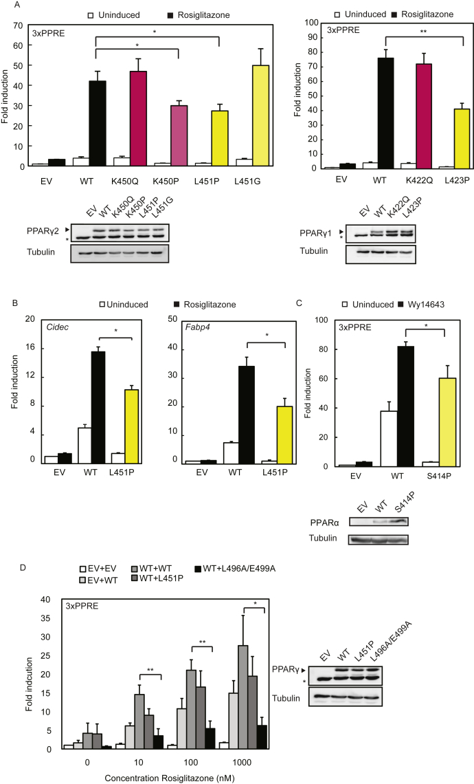 Figure 2