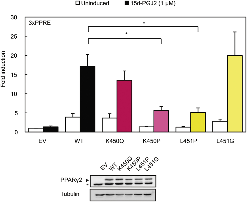 Supplemental Figure 3