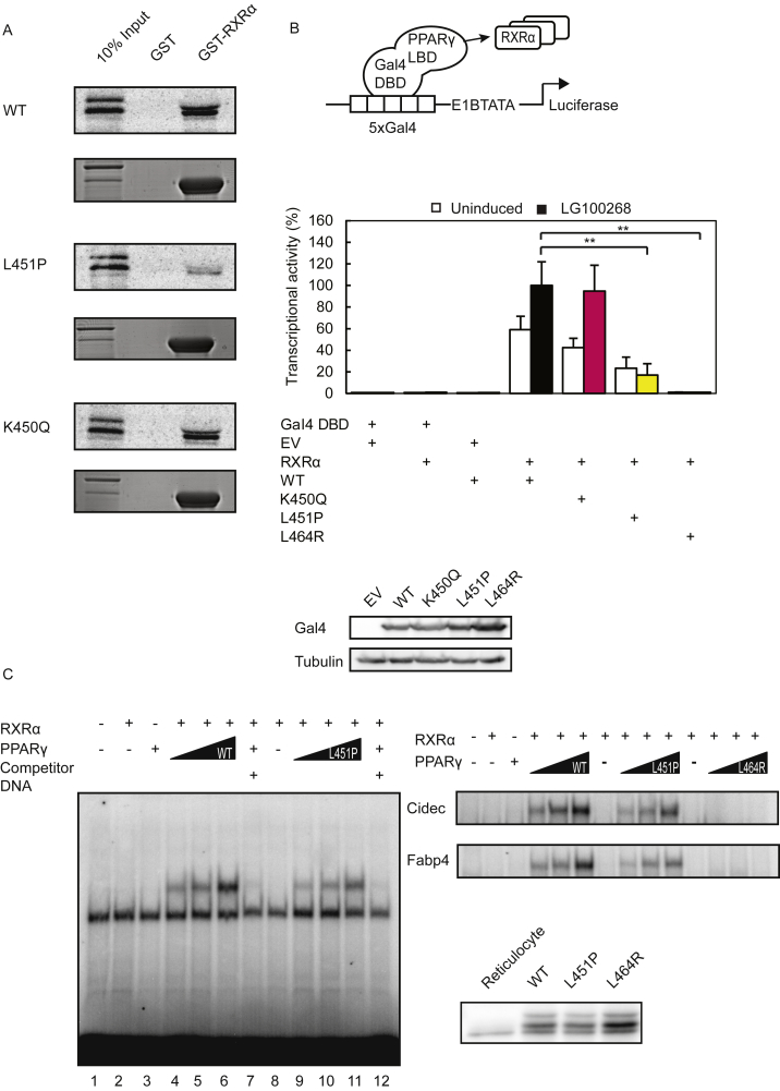 Figure 5