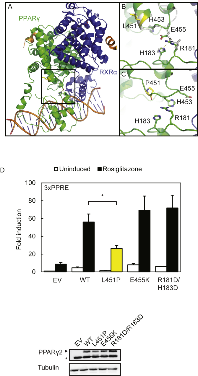 Figure 3