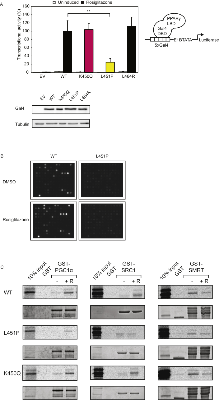 Figure 4