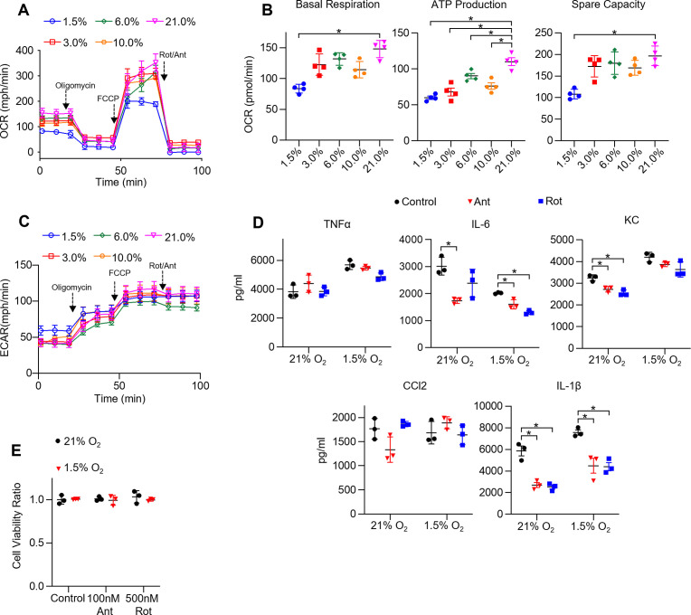 Figure 4—figure supplement 1.