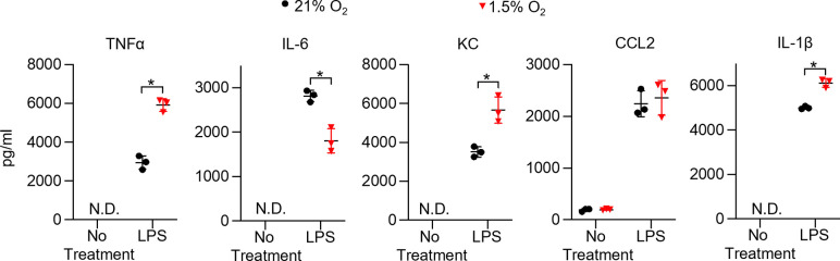 Figure 3—figure supplement 1.