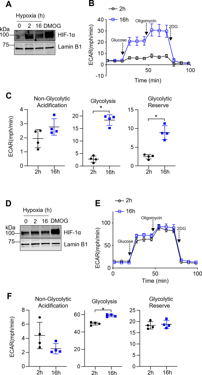 Figure 1—figure supplement 2.