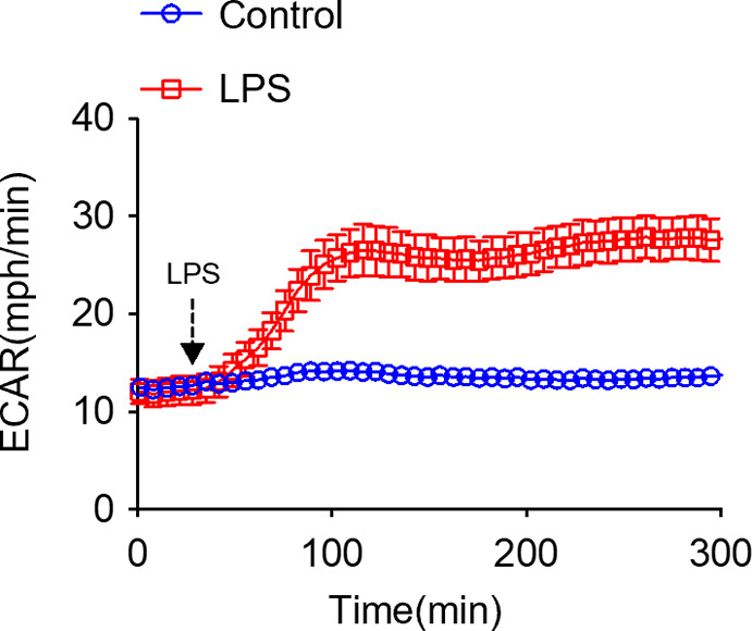 Figure 3—figure supplement 2.