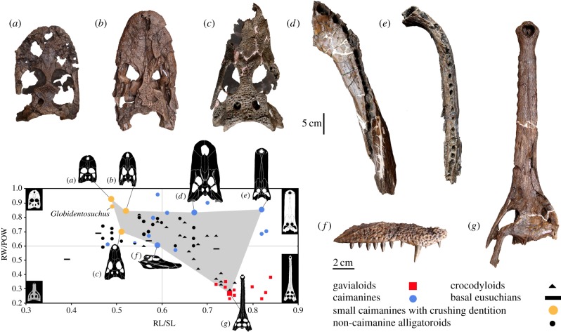 Figure 2.