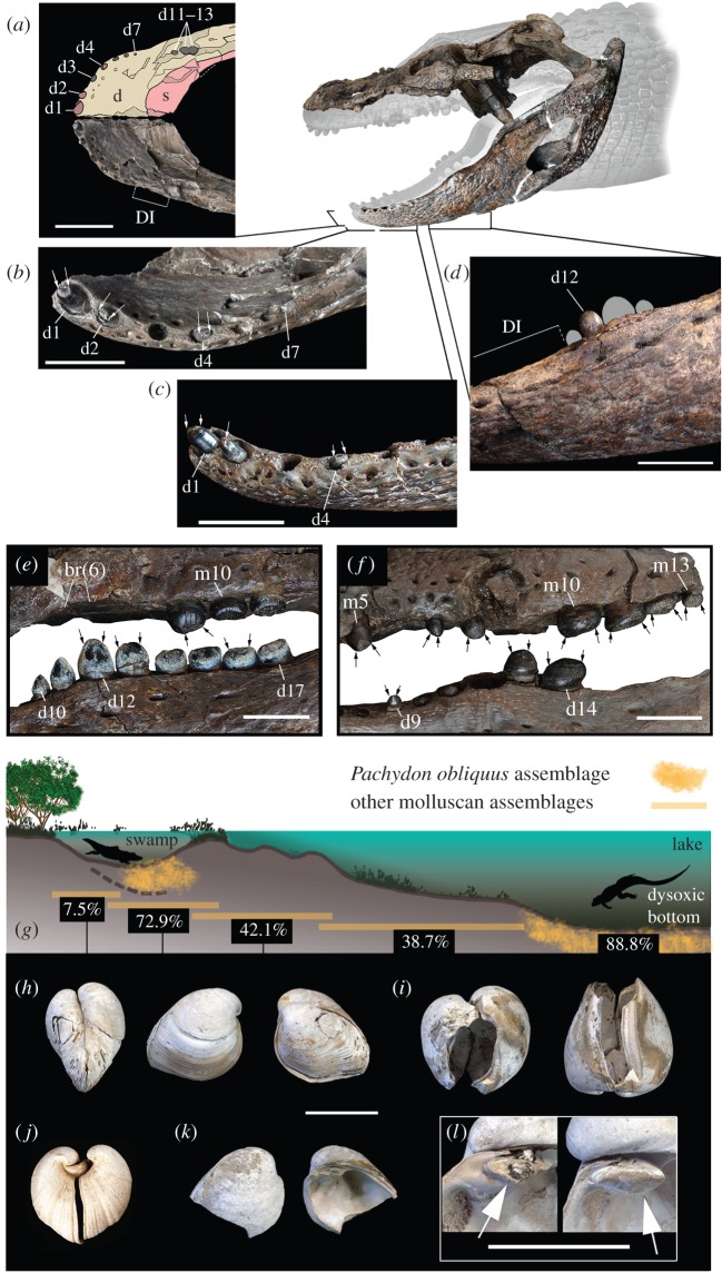 Figure 3.