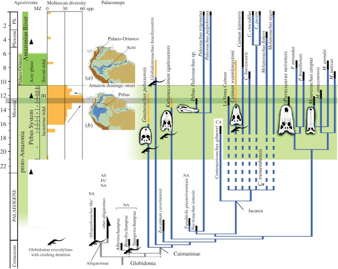 Figure 4.