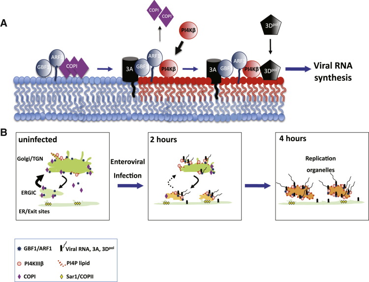 Figure 7