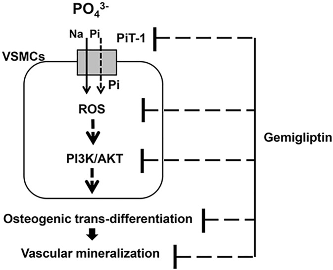 Fig 8