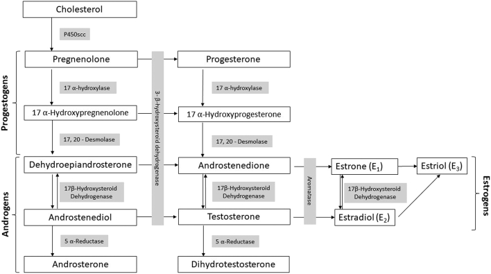 Figure 2